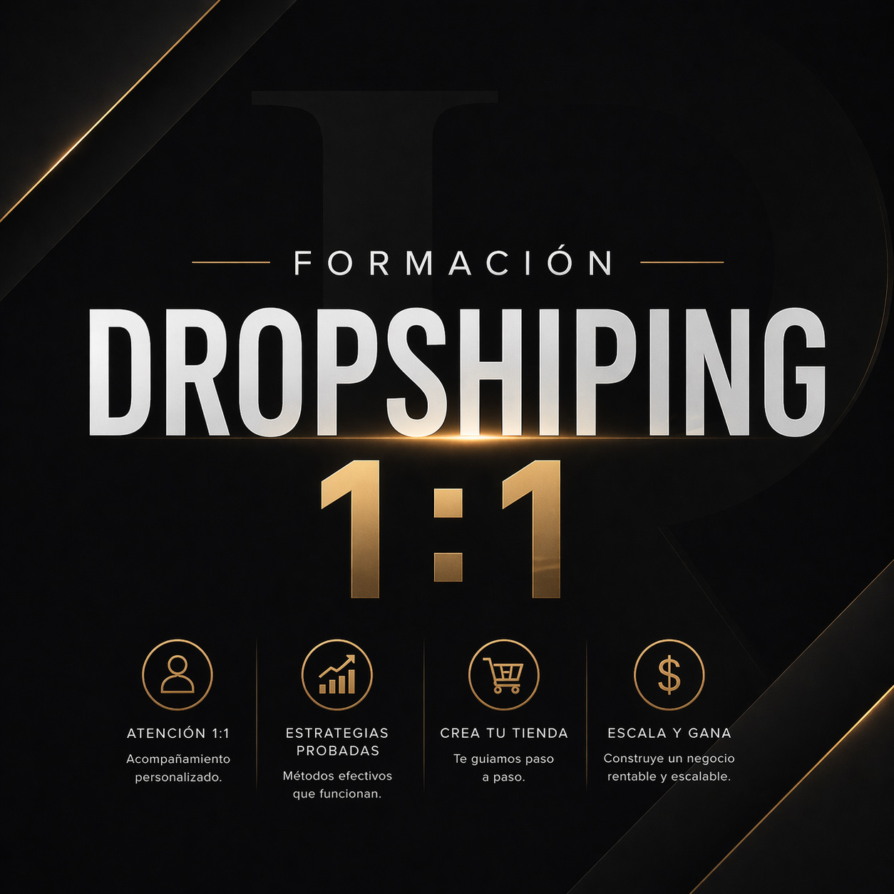 Formación Dropshiping 1:1