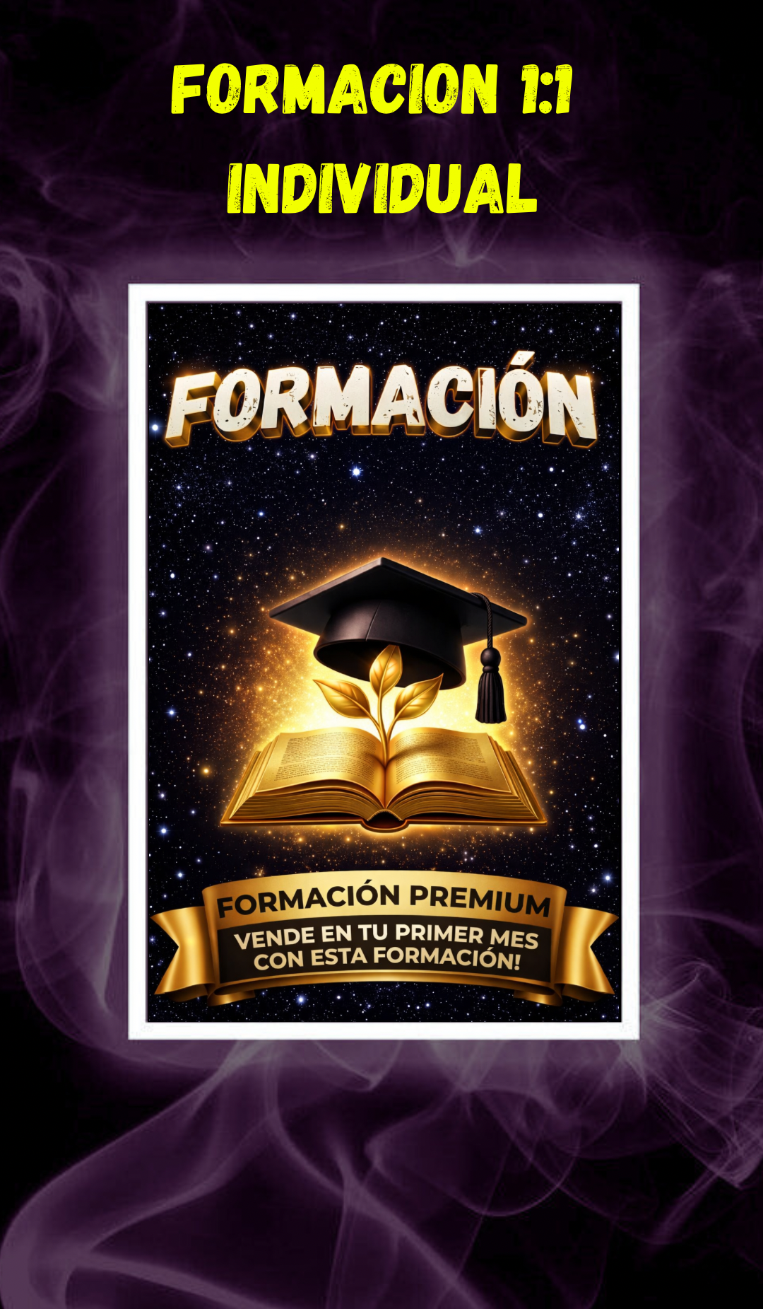 FORMACIÓN INDIVIDUAL 1:1